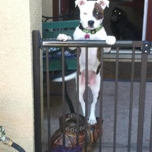 Meet your Posher, Gary